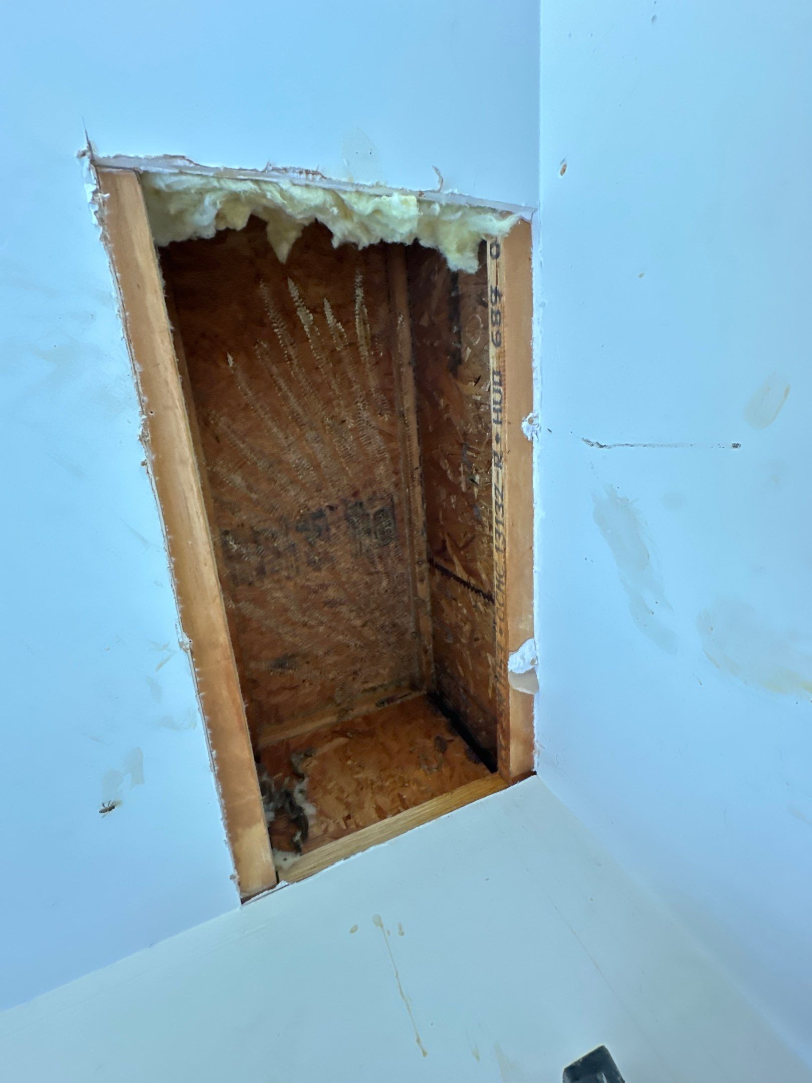 First Spring 2026 by Rockwall Honey Bee Company