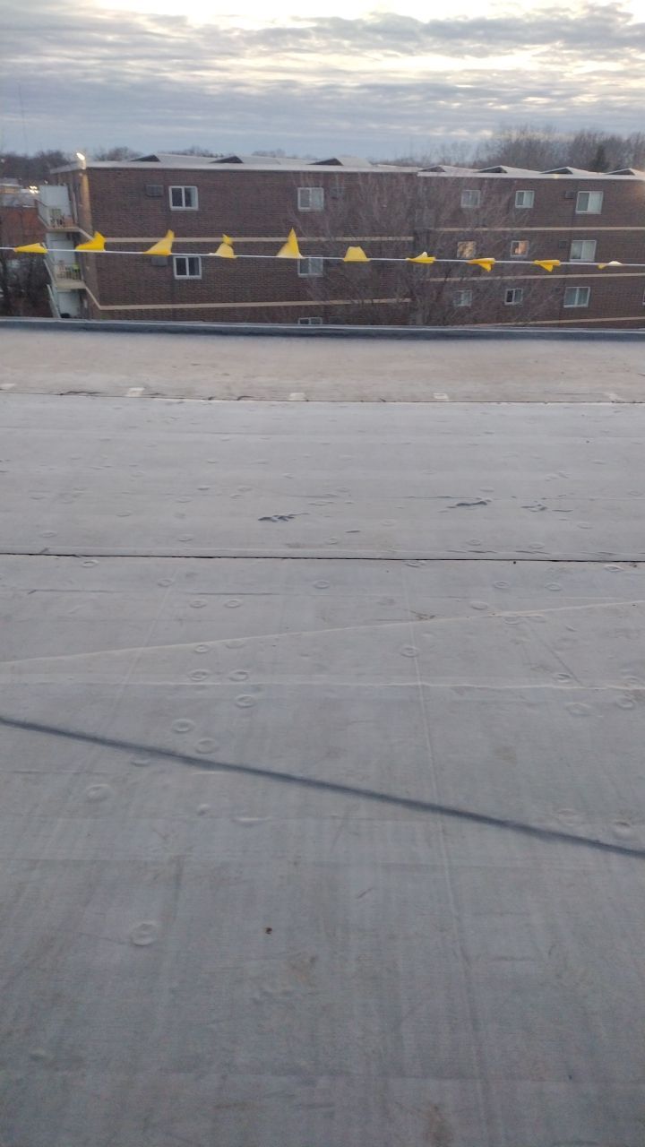 Commercial flat roof parma by Absolute Roofing and Construction