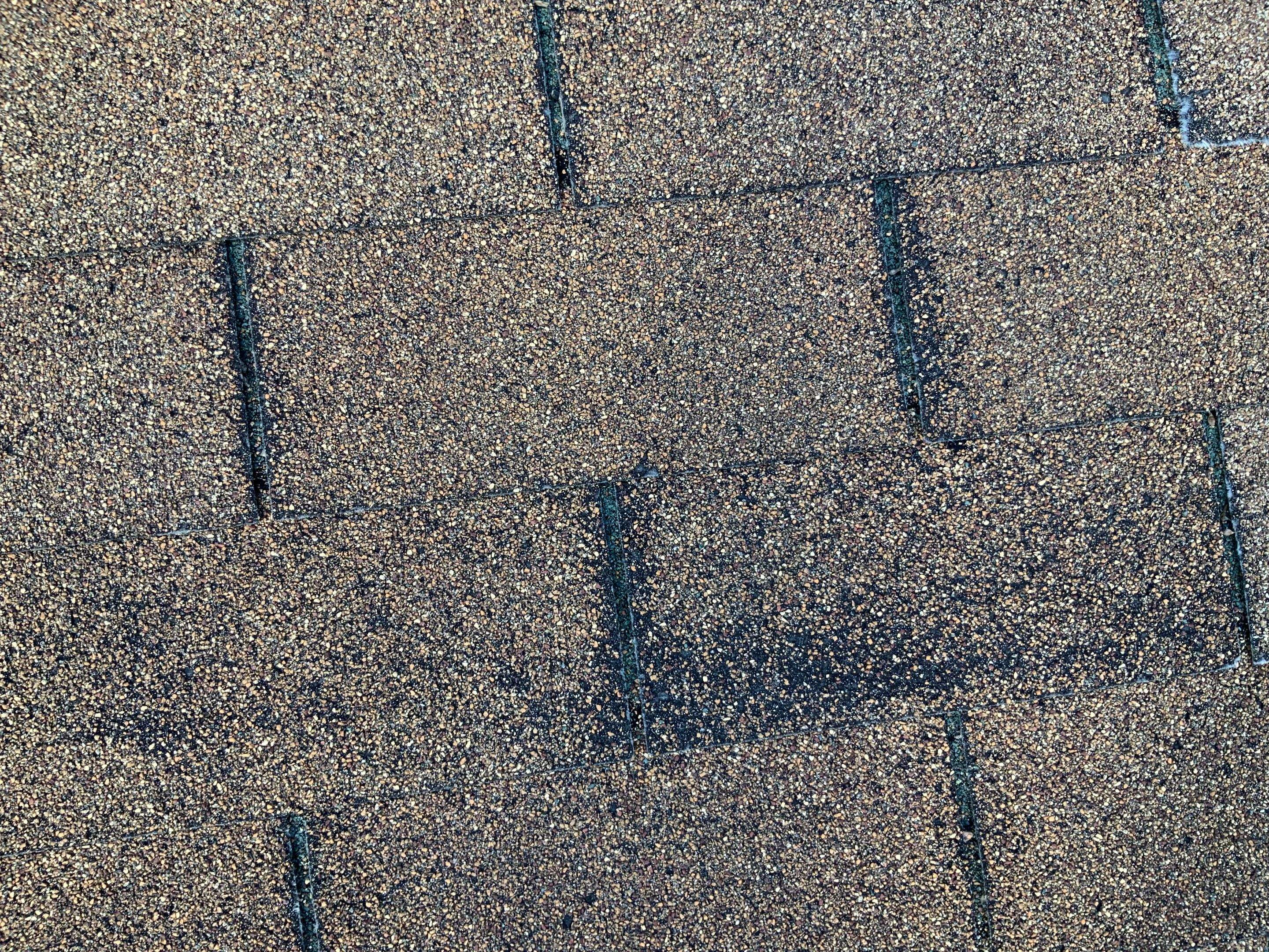 Residential Roofing Installation using XT-25 Shingles by Alpha Design Services