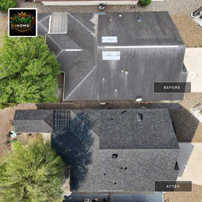 Onyx Black in Alamo, Tx