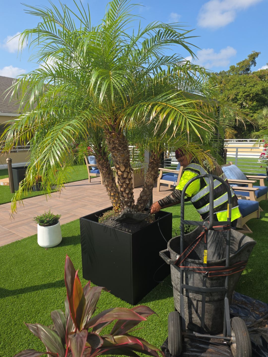 Cypress Village | Plant & Flower Upgrade by ProGreen Services