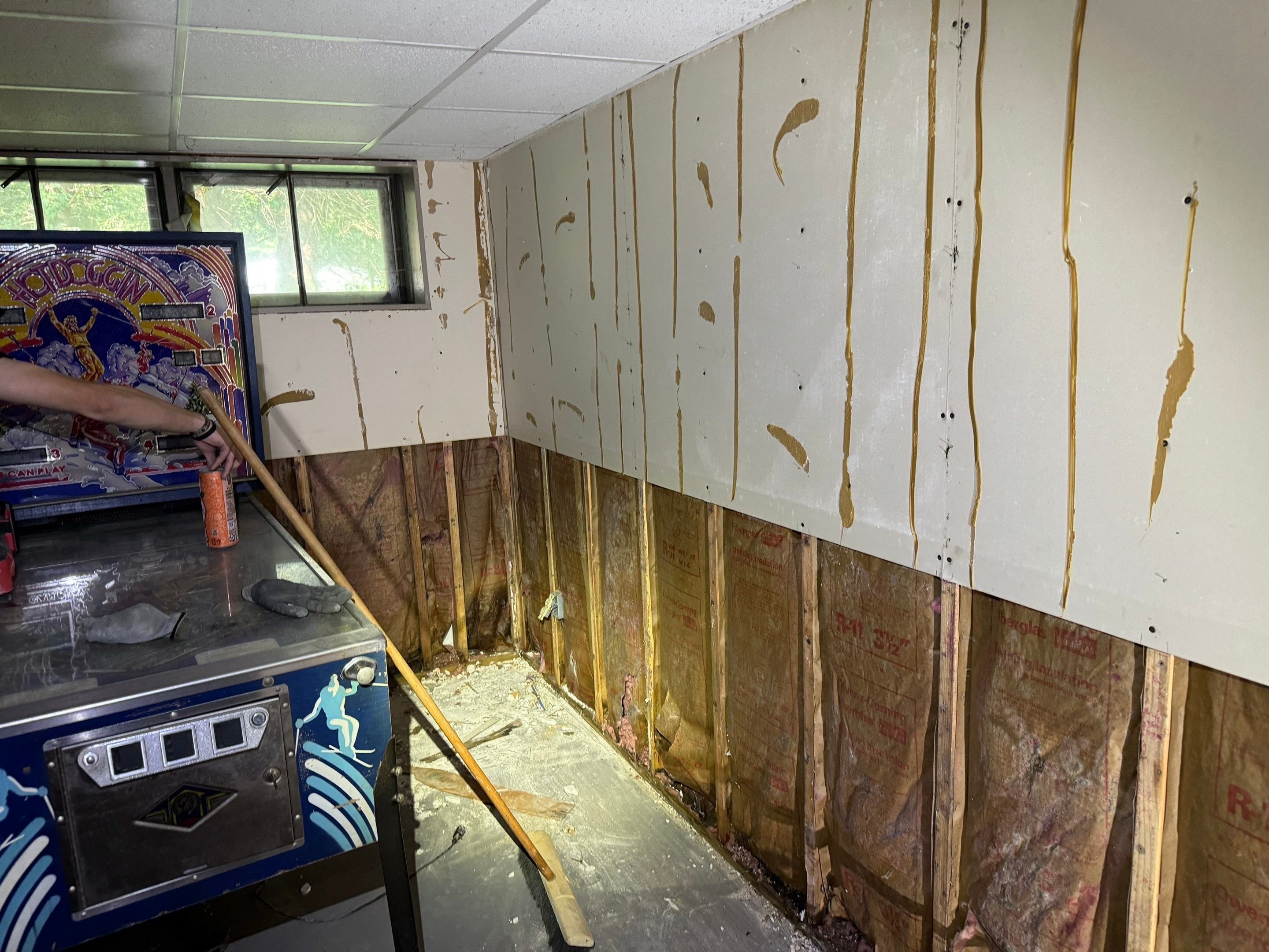 Basement Mold Remediation by Home Guarantee, LLC