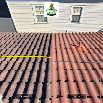 Barrel Tile Clean & Seal