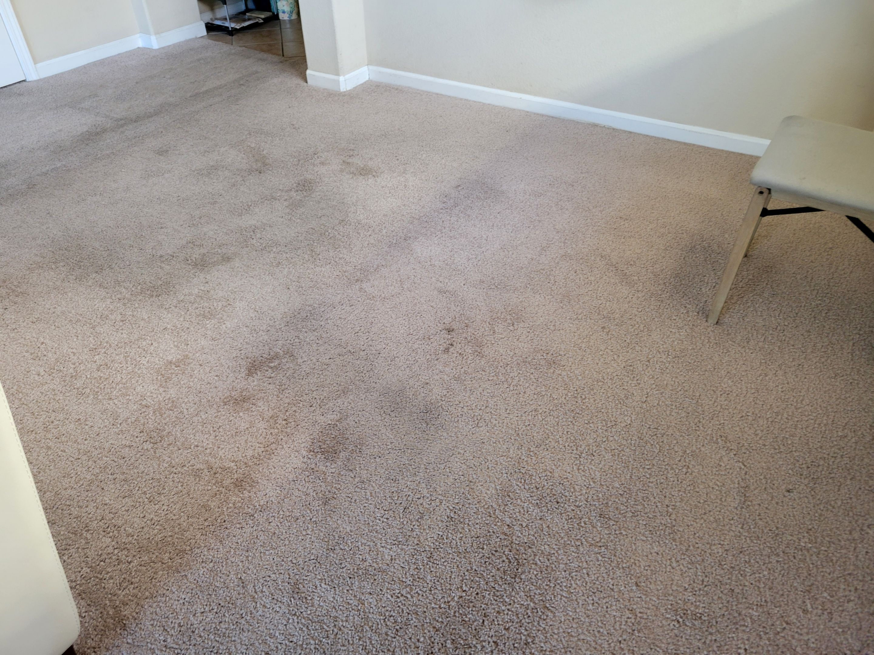 Carpet Re-stretching and Corrective Repair by Ardent Carpet Restore LLC