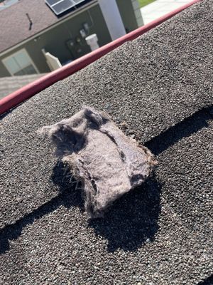 Dryer Vent Cleaning & Roof Termination Correction — Clermont