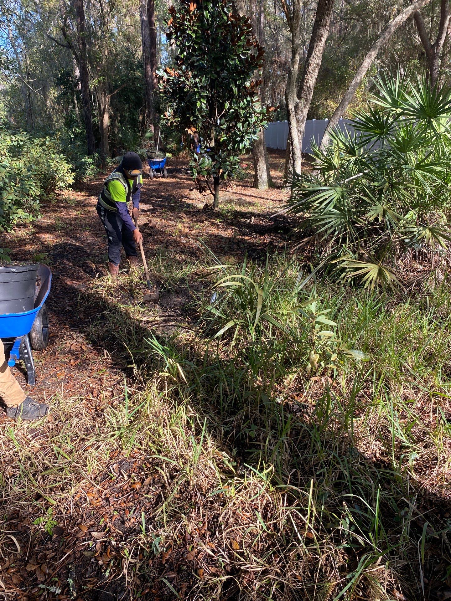 Deerwood Resident | Tree Installation by ProGreen Services