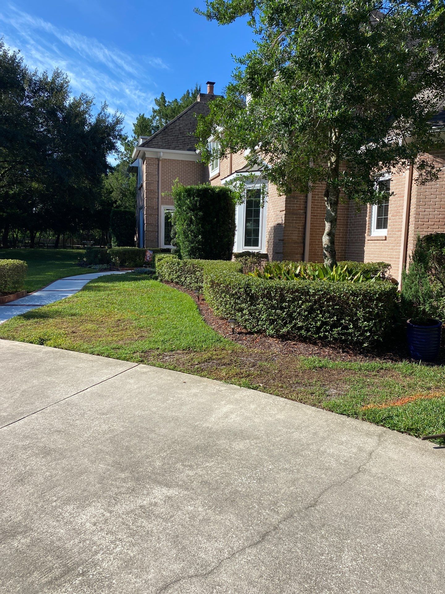 Deerwood Resident | Sod Removal & Install by ProGreen Services