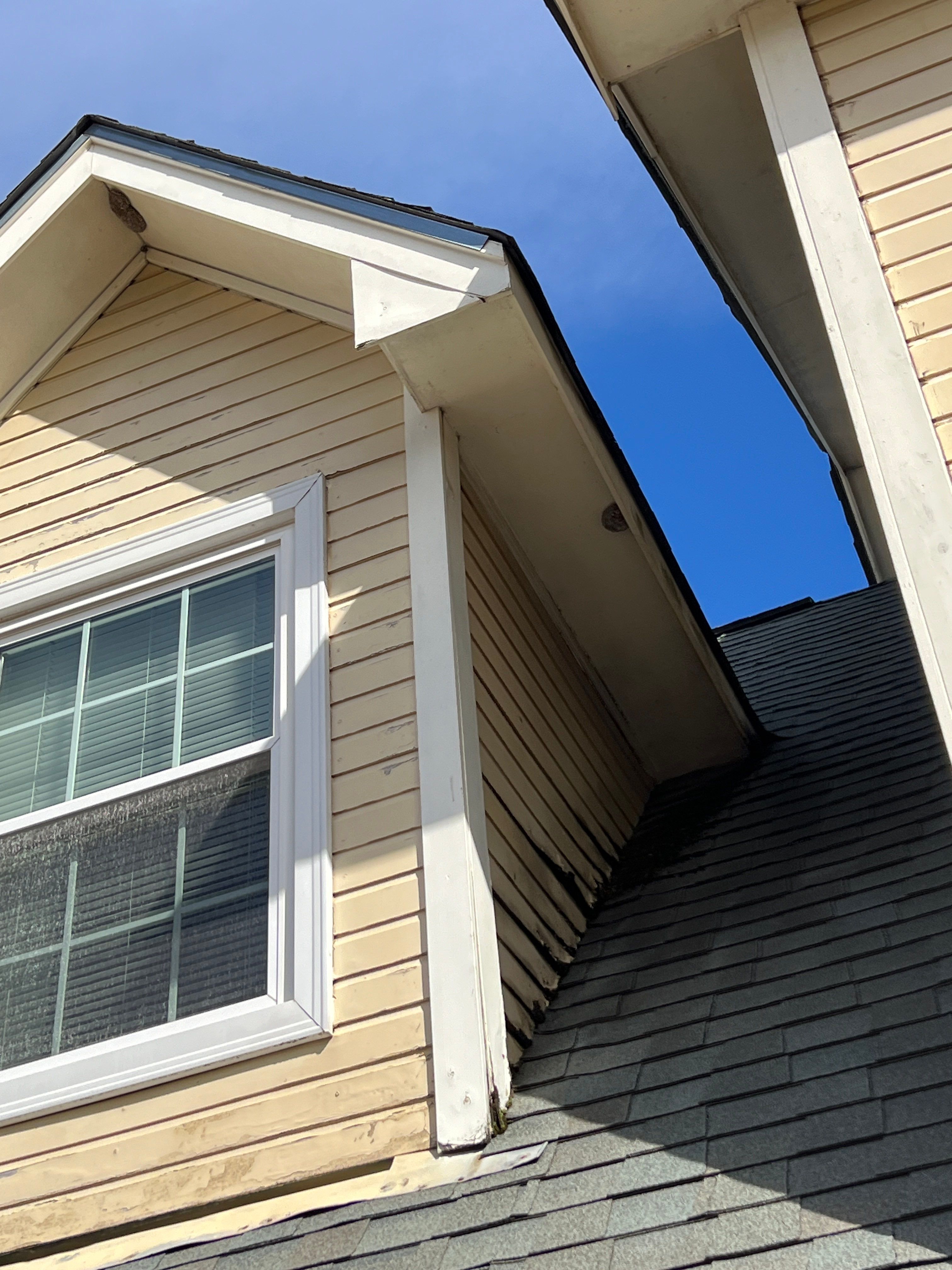 Light Mist Hardie Replacement by Freedom Exteriors