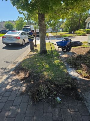 Residential | Sod Installation