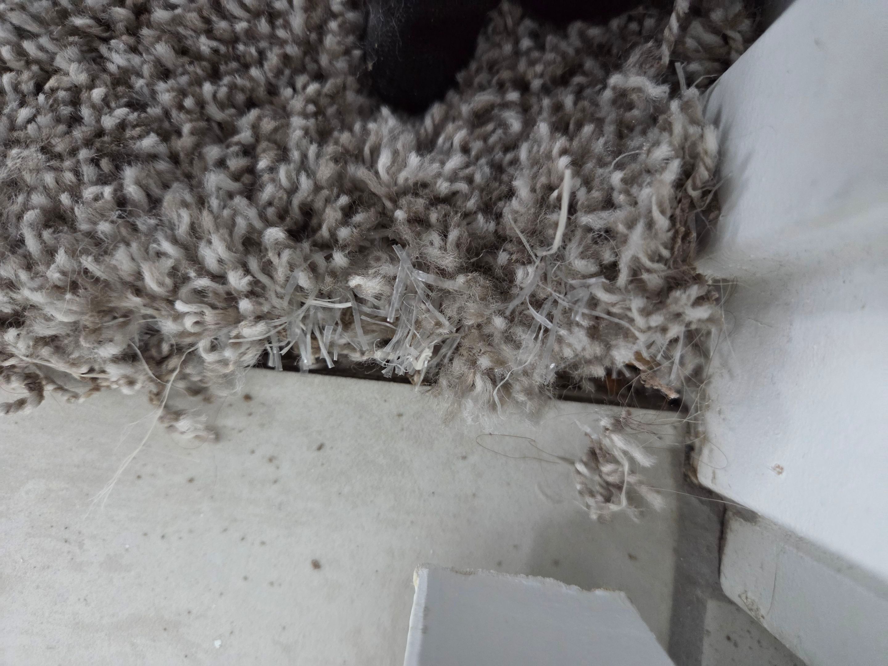 Repairing Frayed, Damaged Carpet by Ardent Carpet Restore LLC