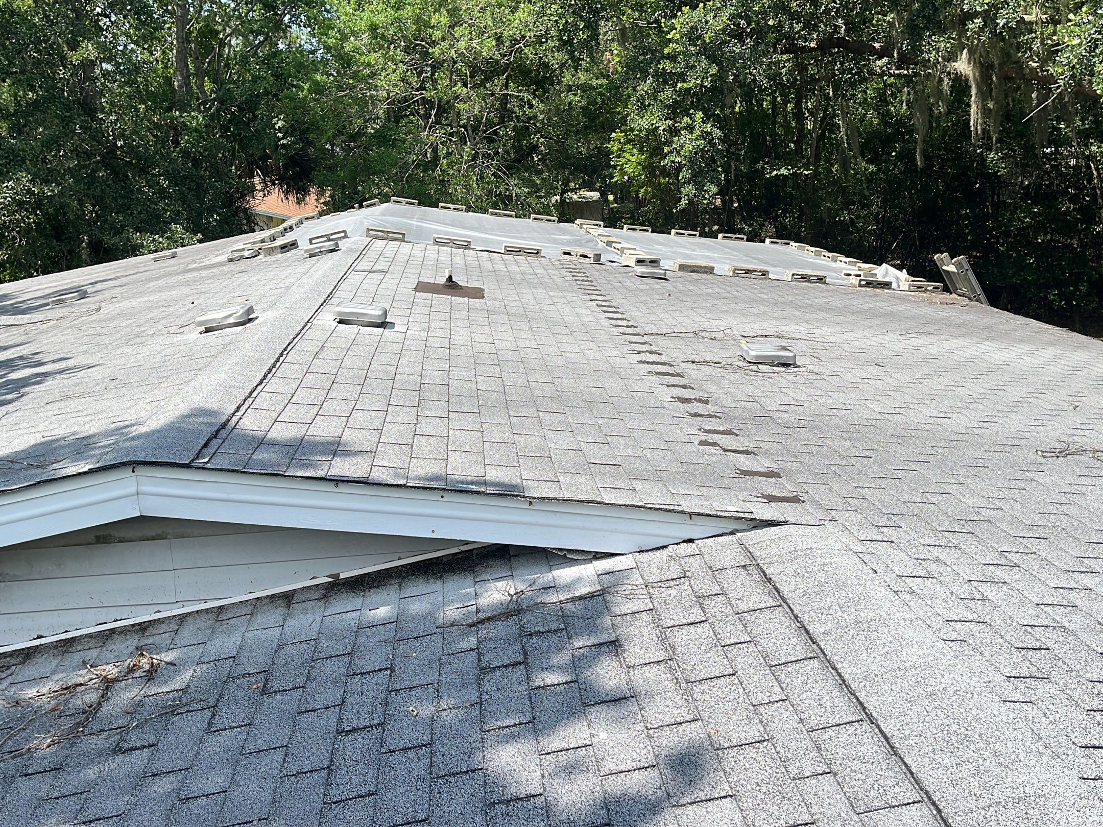Shingle -> Metal by Prime Roofing