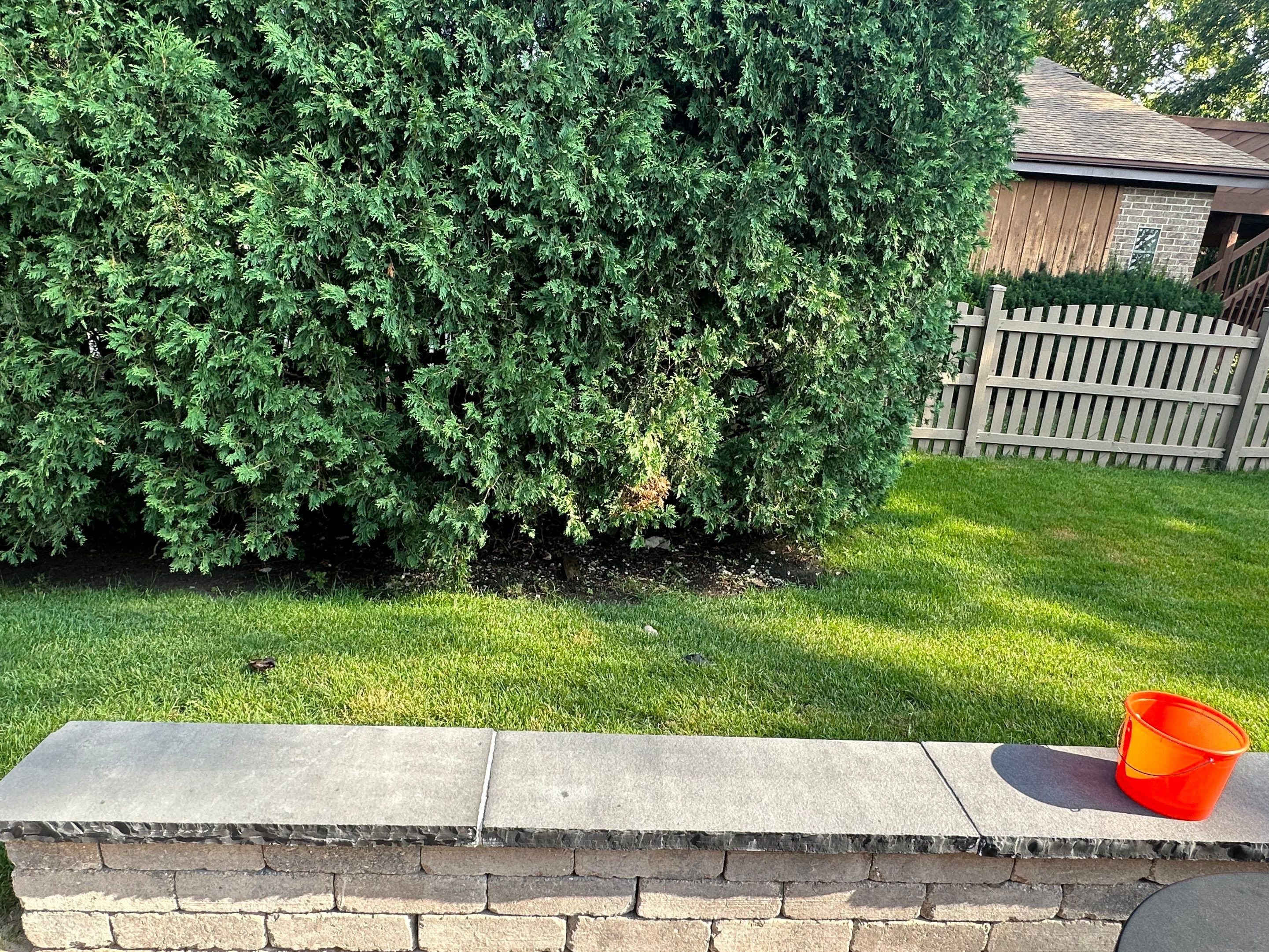 Brick paver clean, sand and seal. using Surebond SB-1300 by Northern Power Washing LLC.