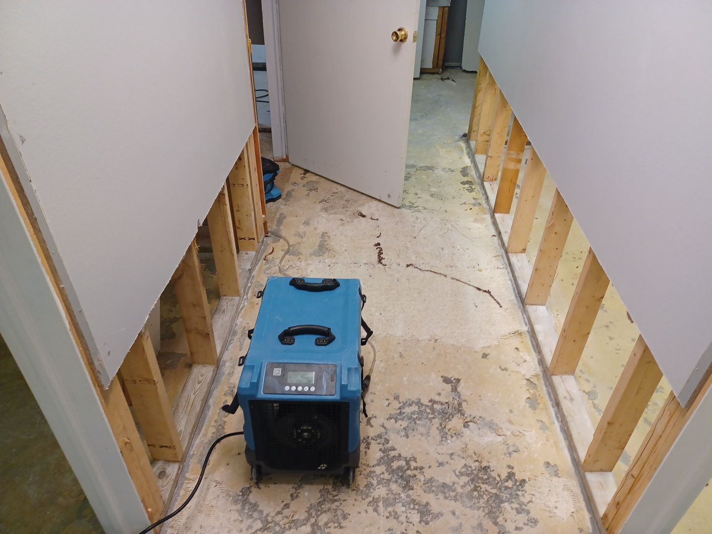 Project in Commerce Twp by EzDry Water Mitigation & Property Restoration