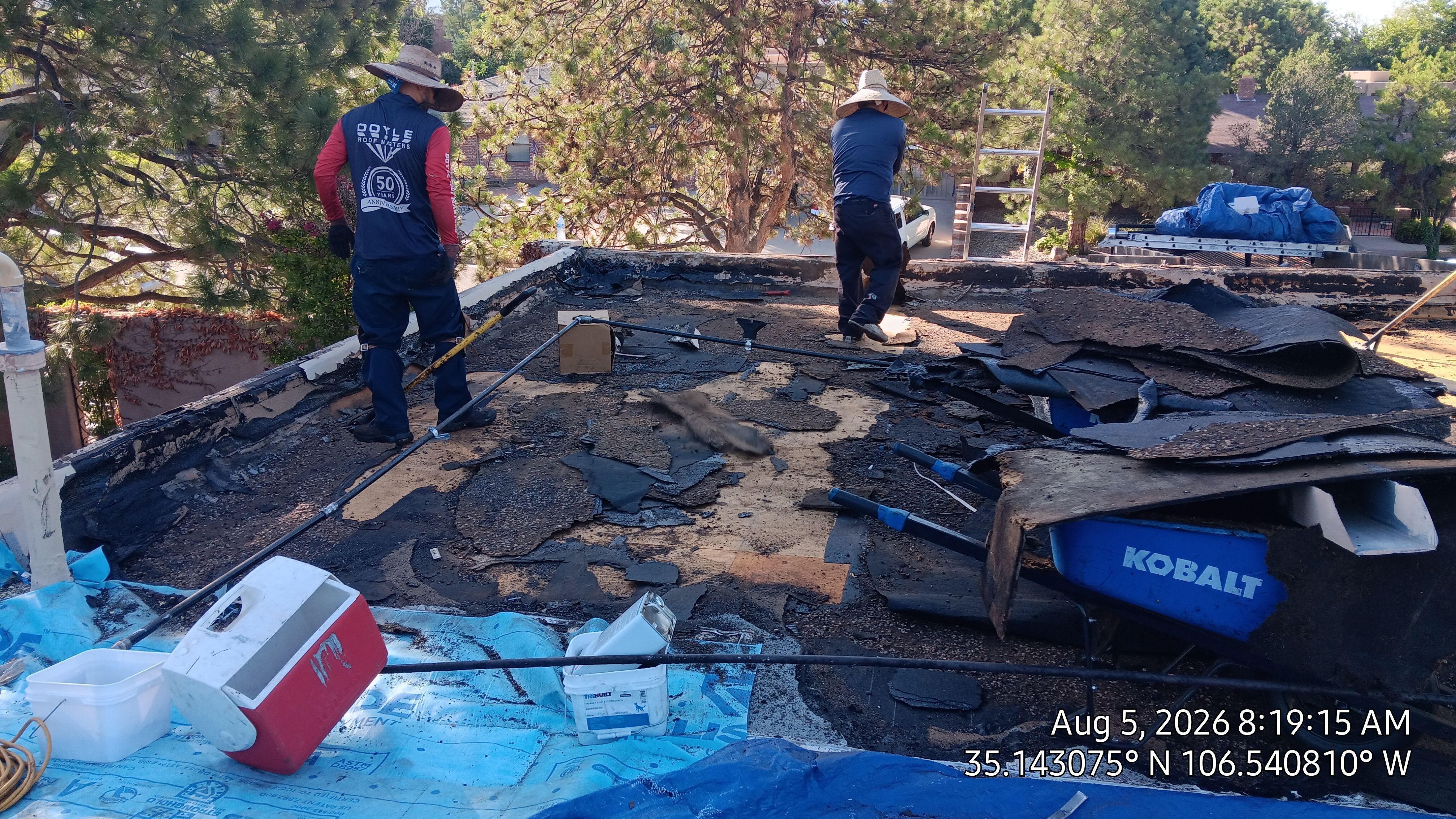 TPO Roof Replacement and Skylight Upgrade in the Northeast Heights, Albuquerque by Doyle Roof Masters Inc