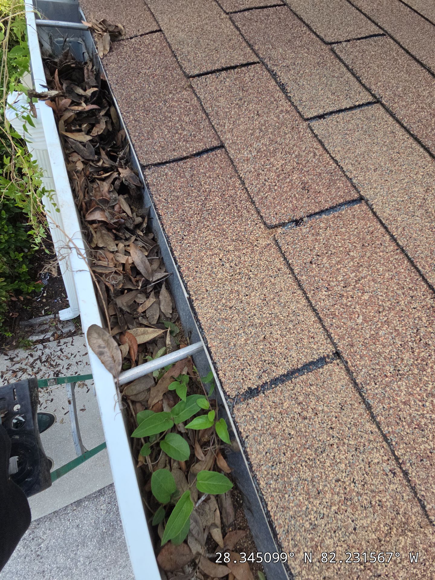 HOA gutter cleaning in Spring Hill ,before  photo showing full gutters.