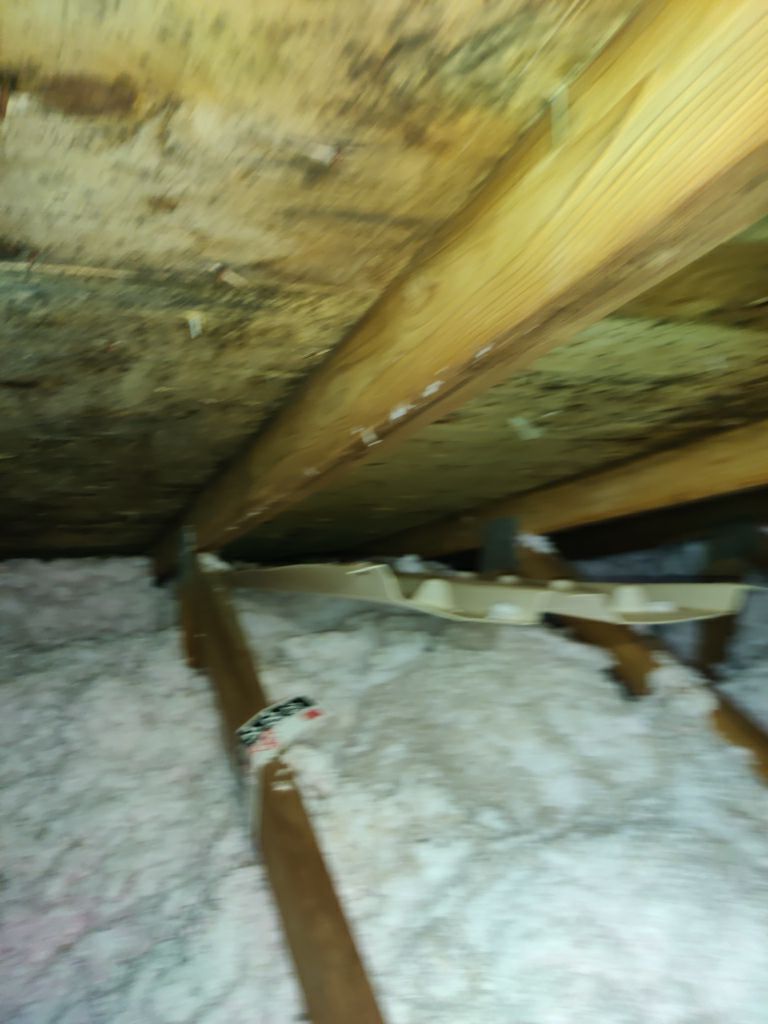 Mold Remediation in Attic by Accountable Home Services