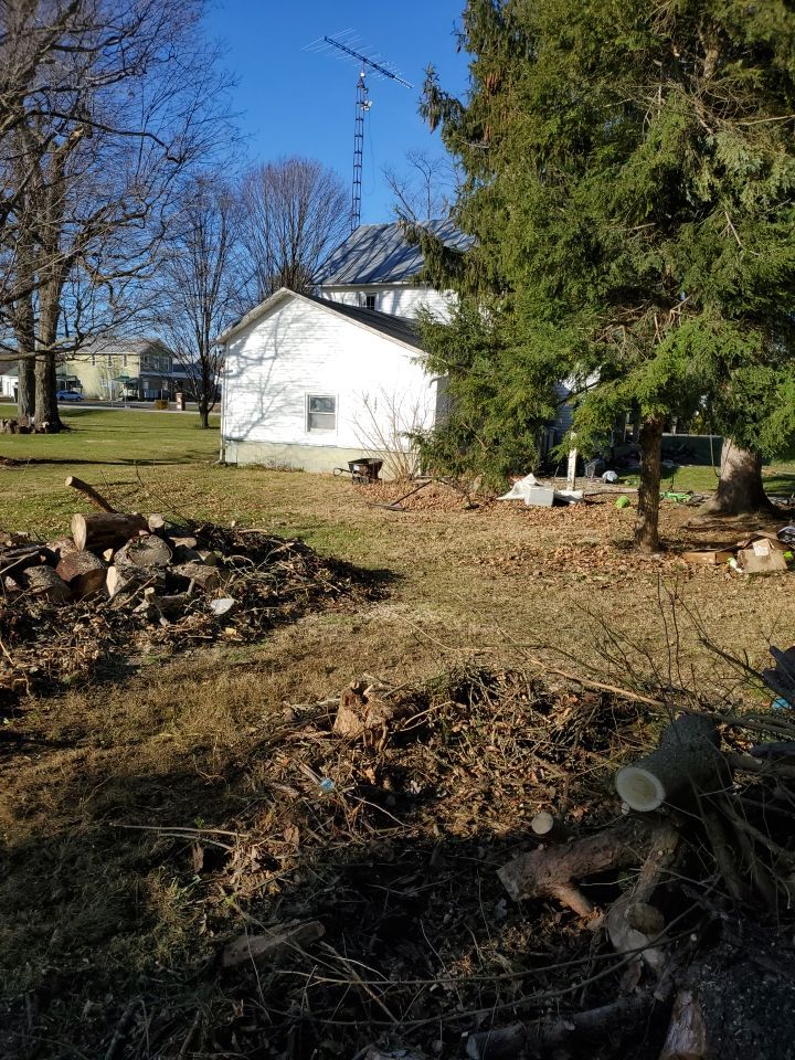 Storm Damaged Tree Removal  using Tree Removal by Mike Jones & Sons Tree Service LLC 