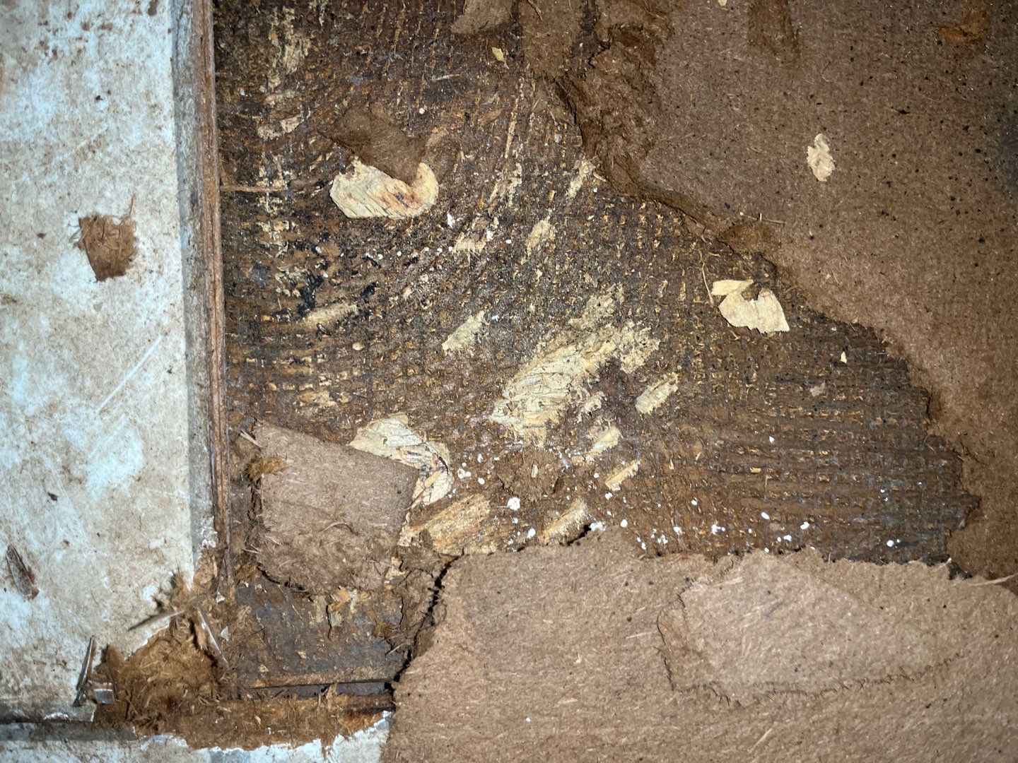 Residential Demo by EAS Environmental, LLC.