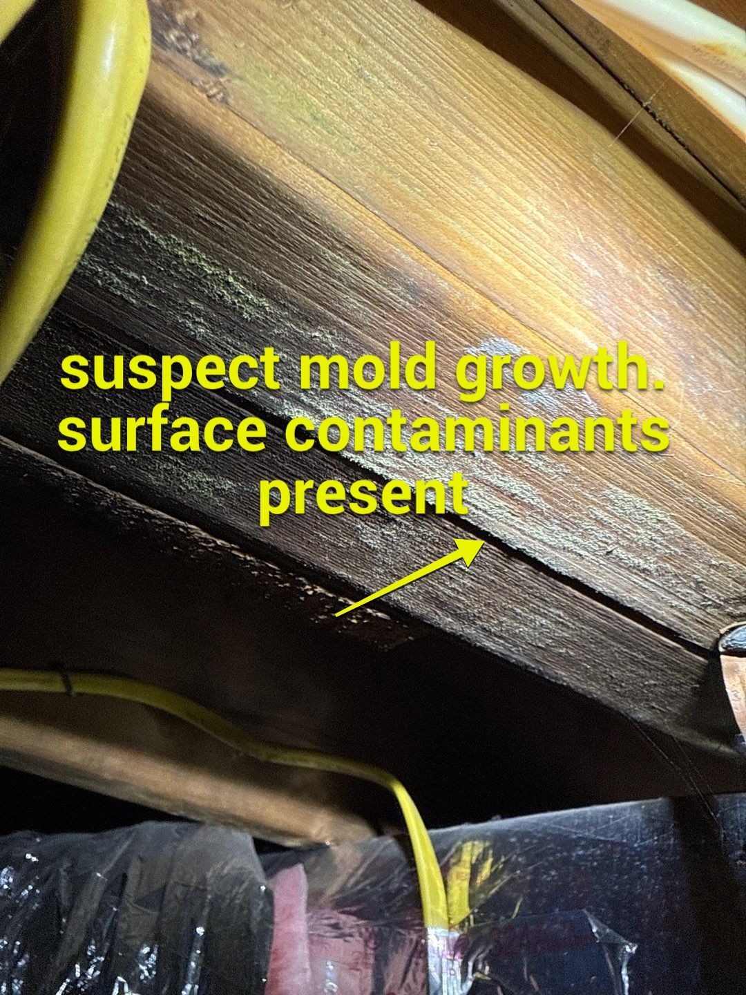 Post‑Remediation Clearance Test & Corrective Mold Remediation, Dover, DE. by Healthy Home Solutions