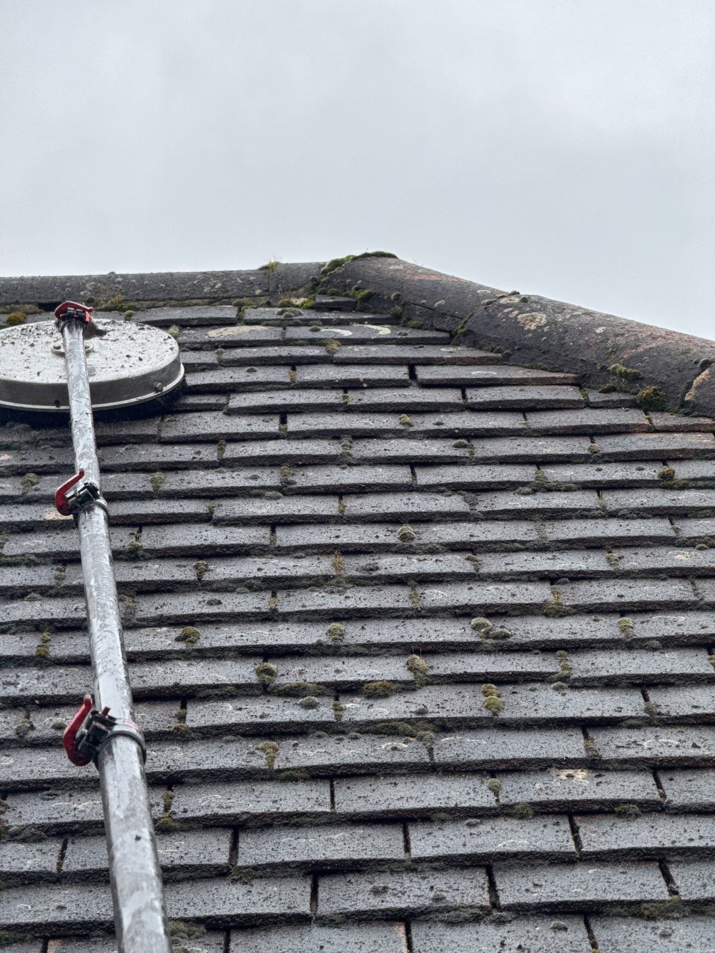 Commercial Roof Clean -Block Of Flats using Honda 15lpm Low Pressure Washing Machine by Ges Exterior Cleaning ltd