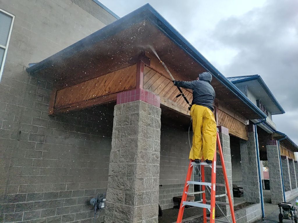 Cedar Siding Restoration using Sharkskin Brightener by Paul Schopp