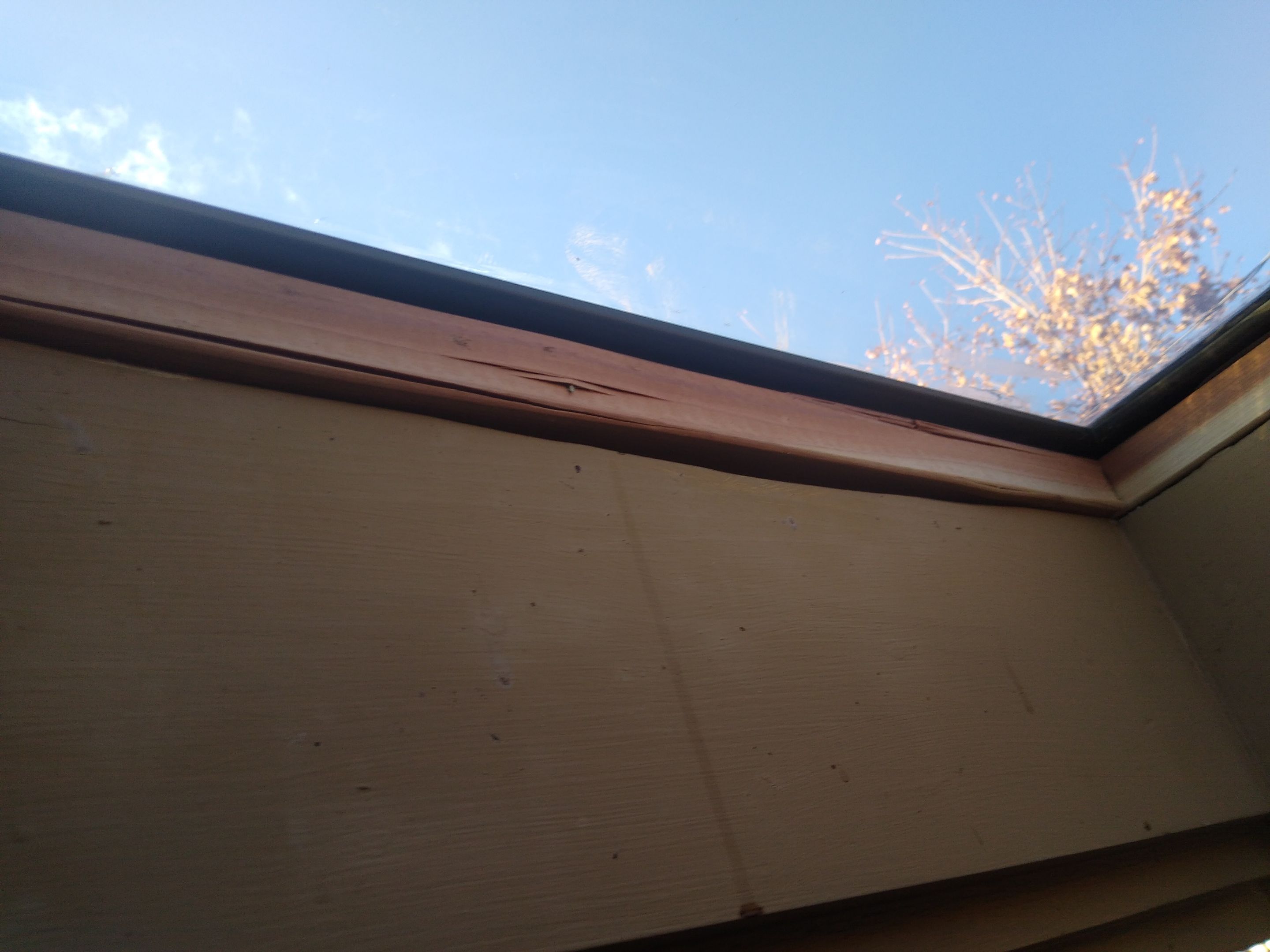 Hail Damage Re Roof  by Dynamic Renovation Contractors