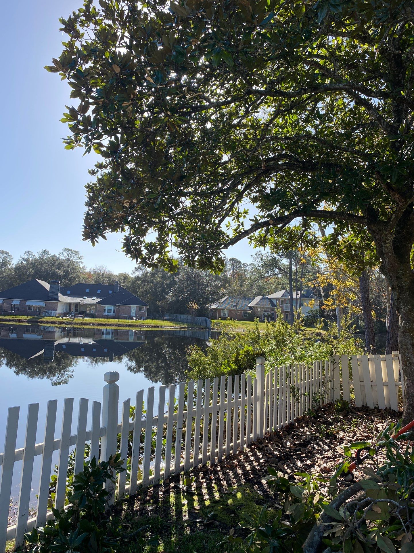 Deerwood Resident | Tree Removal & Palm Trimming by ProGreen Services
