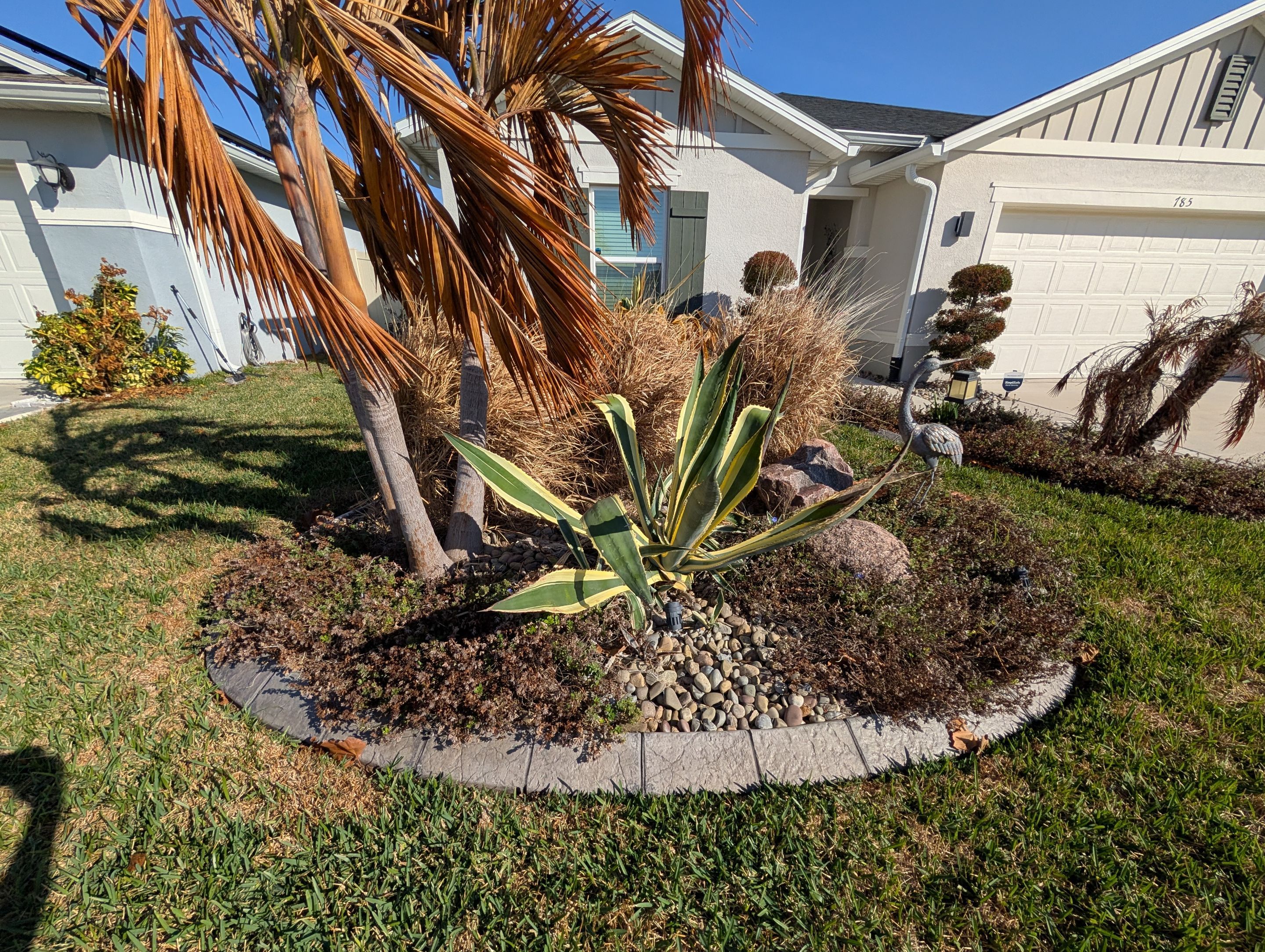 Cold Damage Plant Removal & Landscape Cleanup by
M.A.B. Landscaping & Property Maintenance