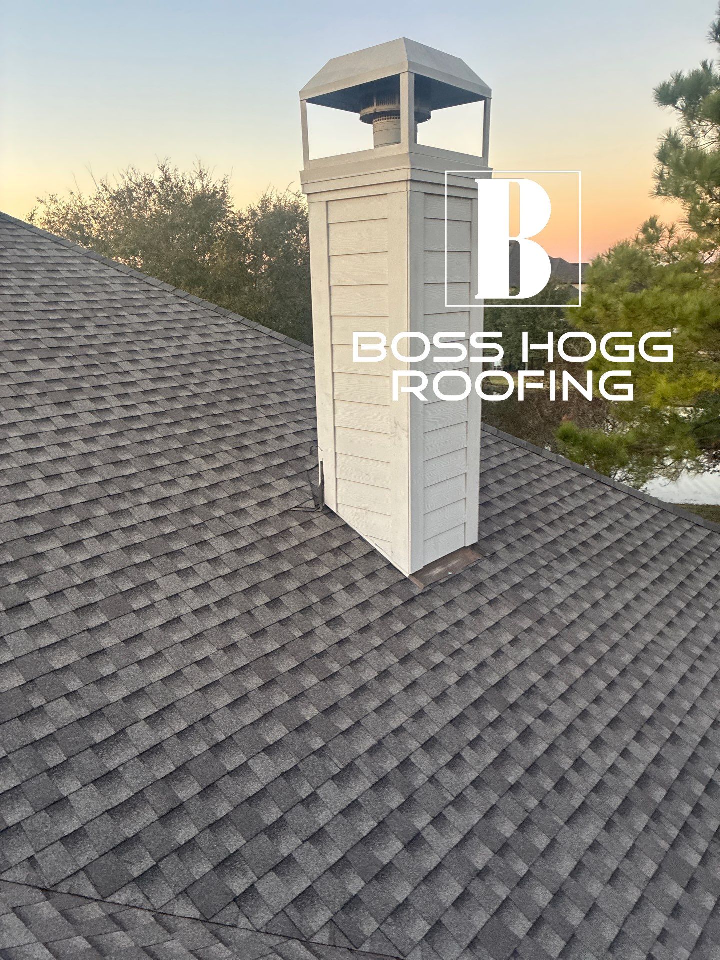 LYNA L by Boss Hogg Roofing