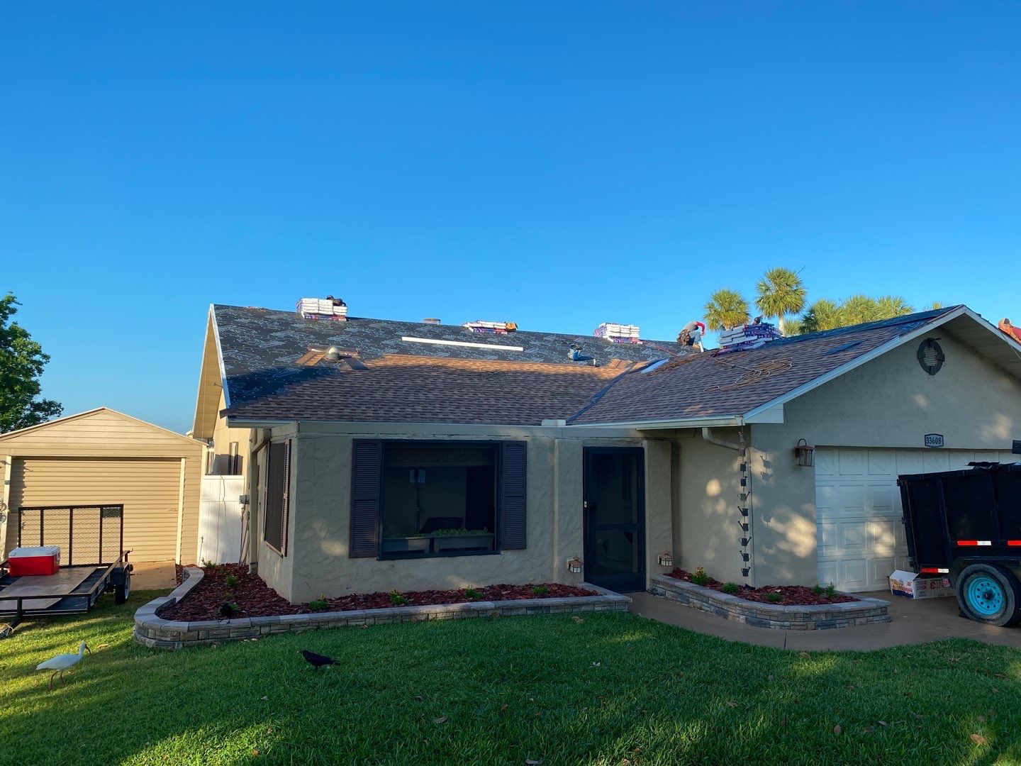 33608 Picciola Dr by Pro Specialty Services