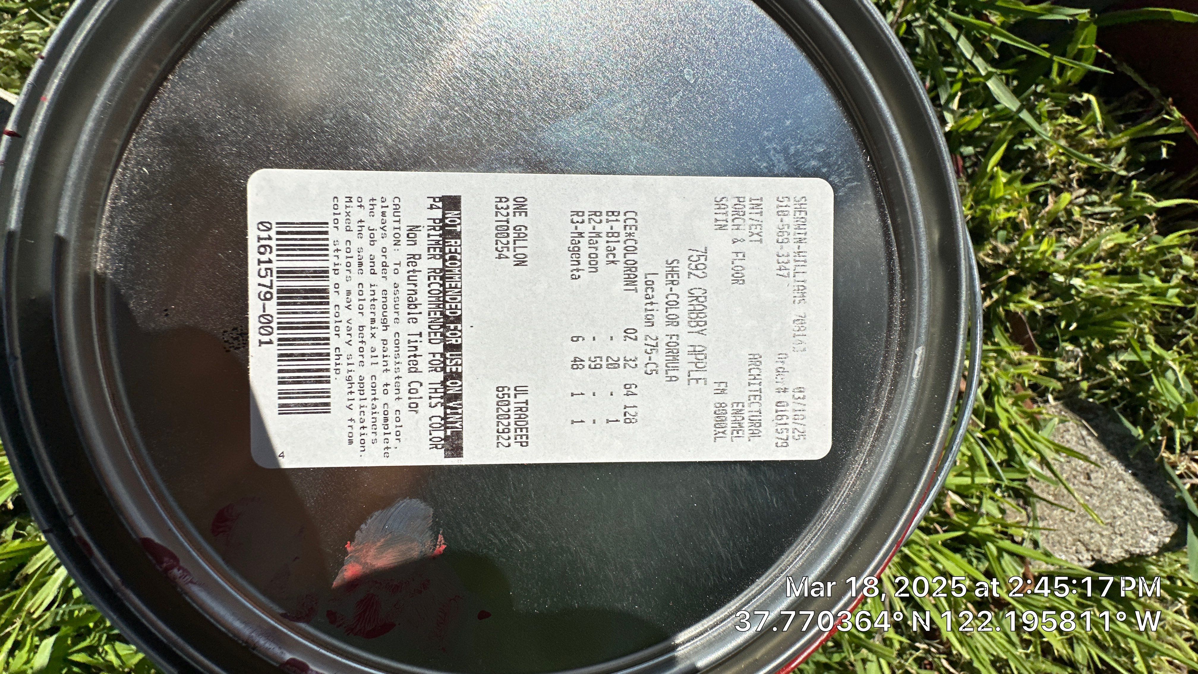 Project in Oakland by Herrera’s Bay Area Painting inc.