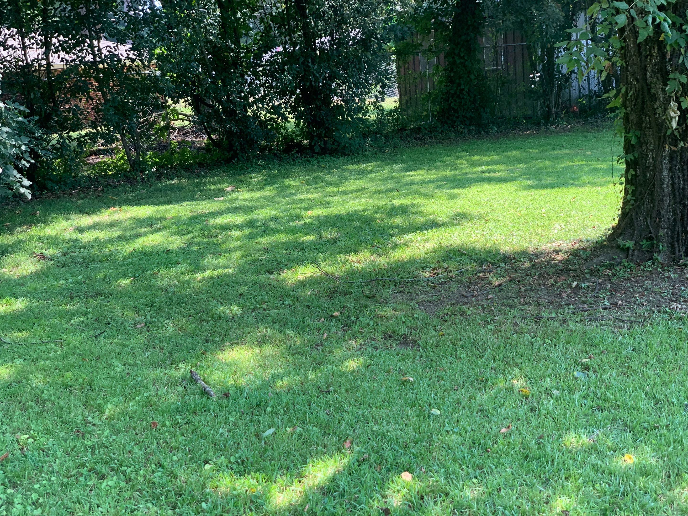 Yard Makeover by College Bros Outdoor services