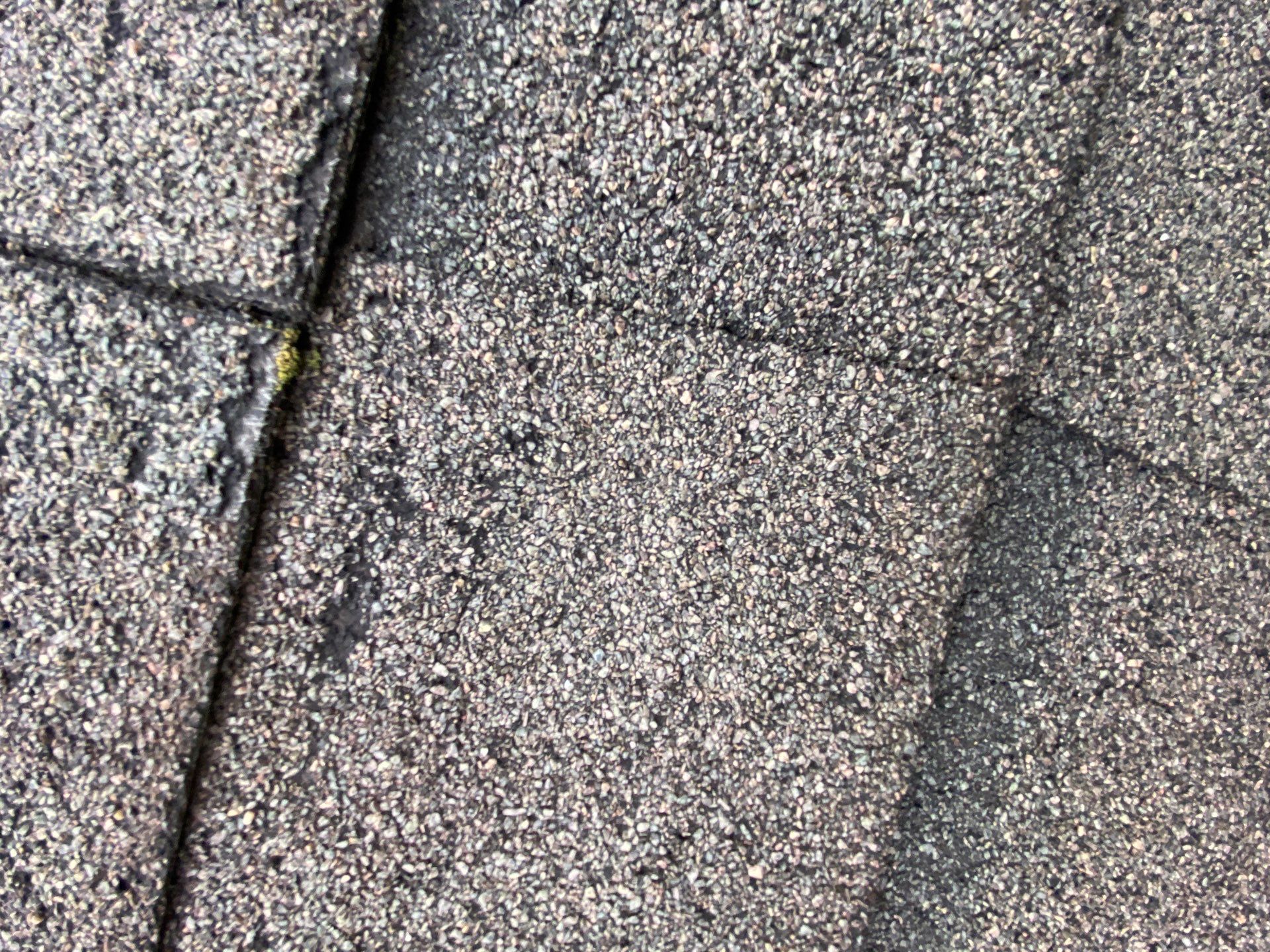 Roofing & Siding | Acton by Mighty Dog Roofing of Greater Middlesex County