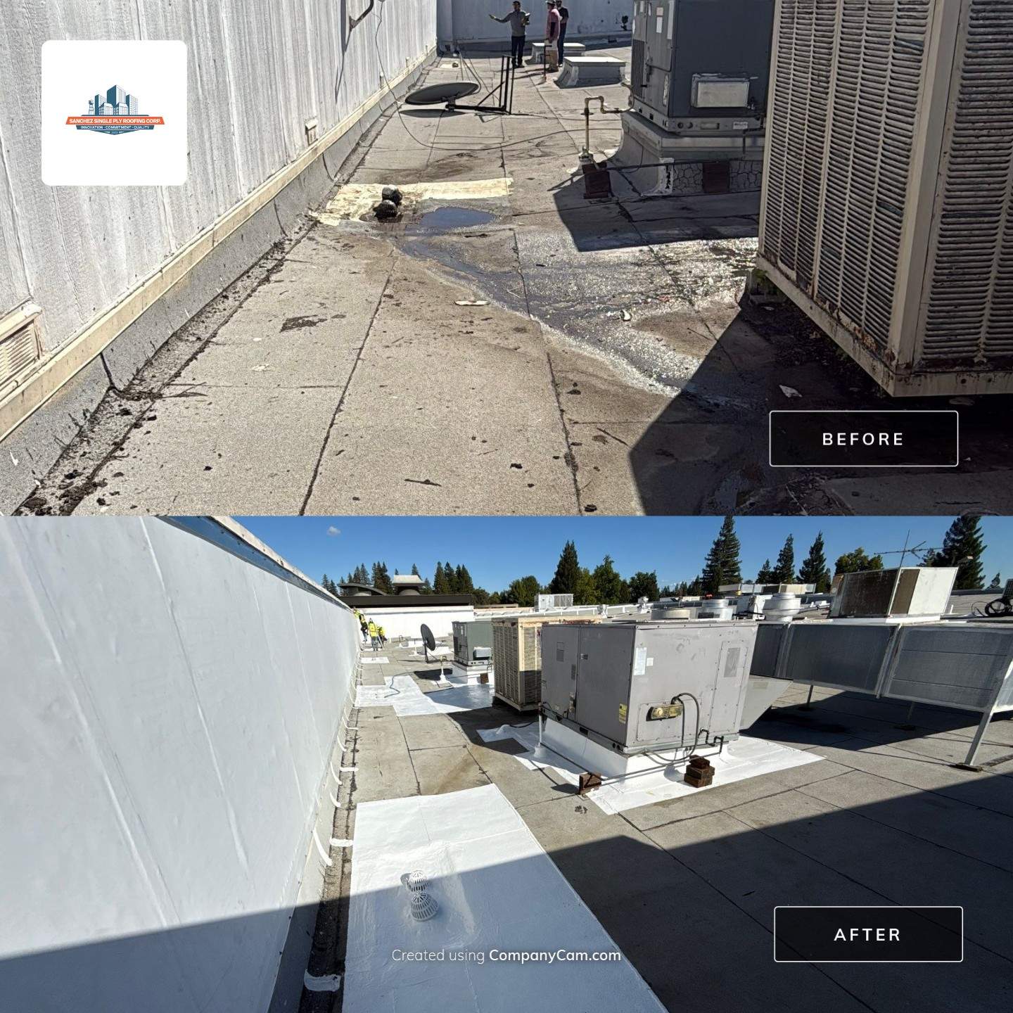 Project in Roseville by Sanchez Single Ply Roofing
