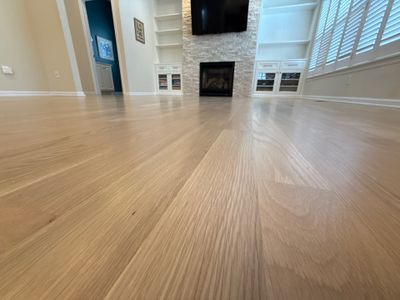 Laurel White Oak