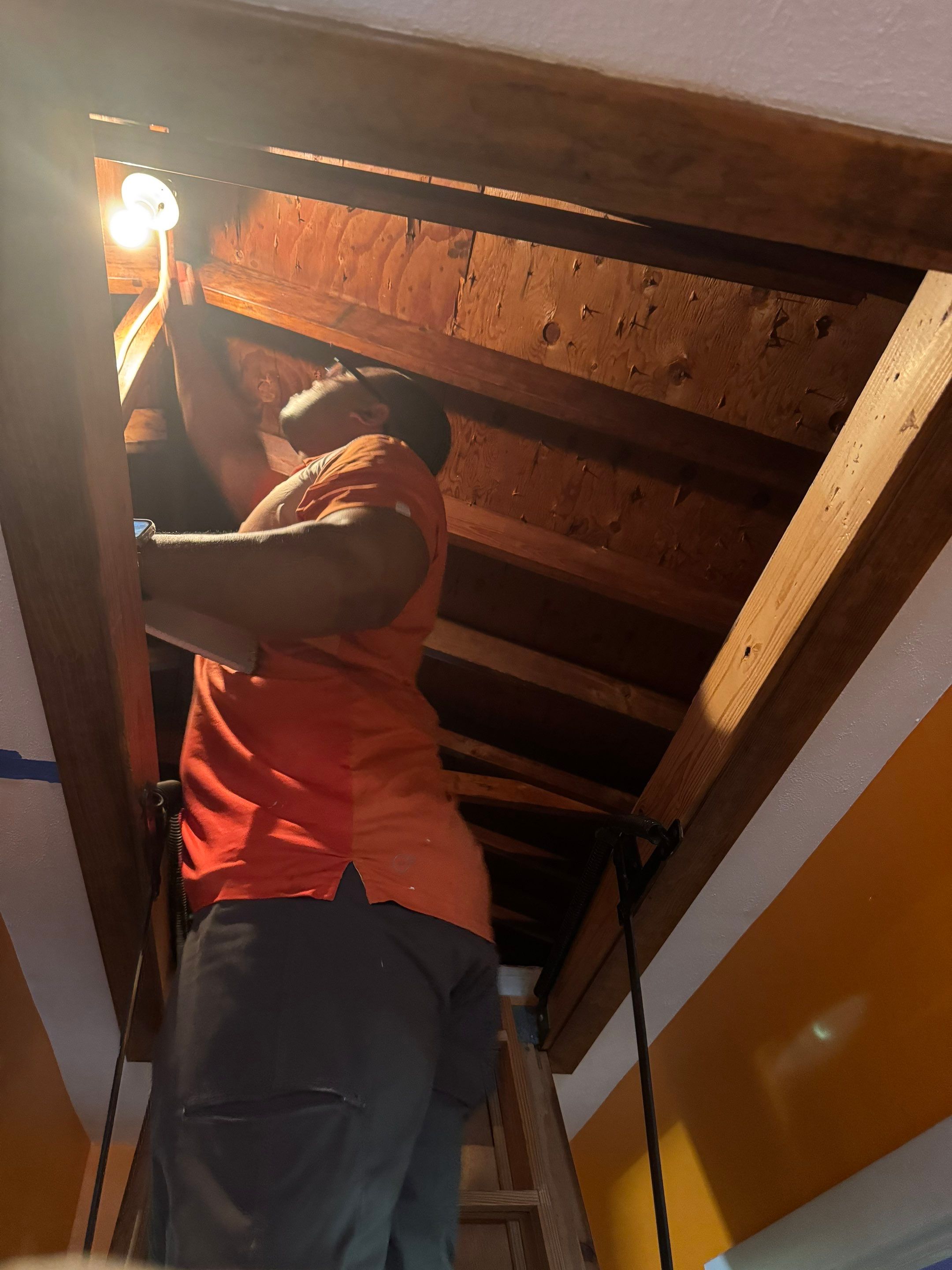 Beacon, NY — Heat Pump Upgrade for Mold Allergies by Shelter Air