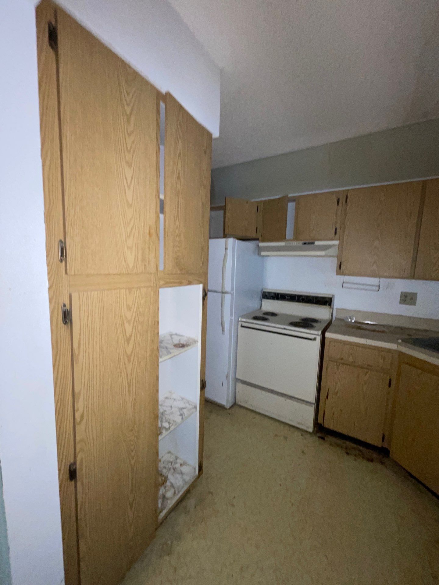 Horder house with Mold and Bacterial Contamination Issues  by Bay Coast Restoration 
