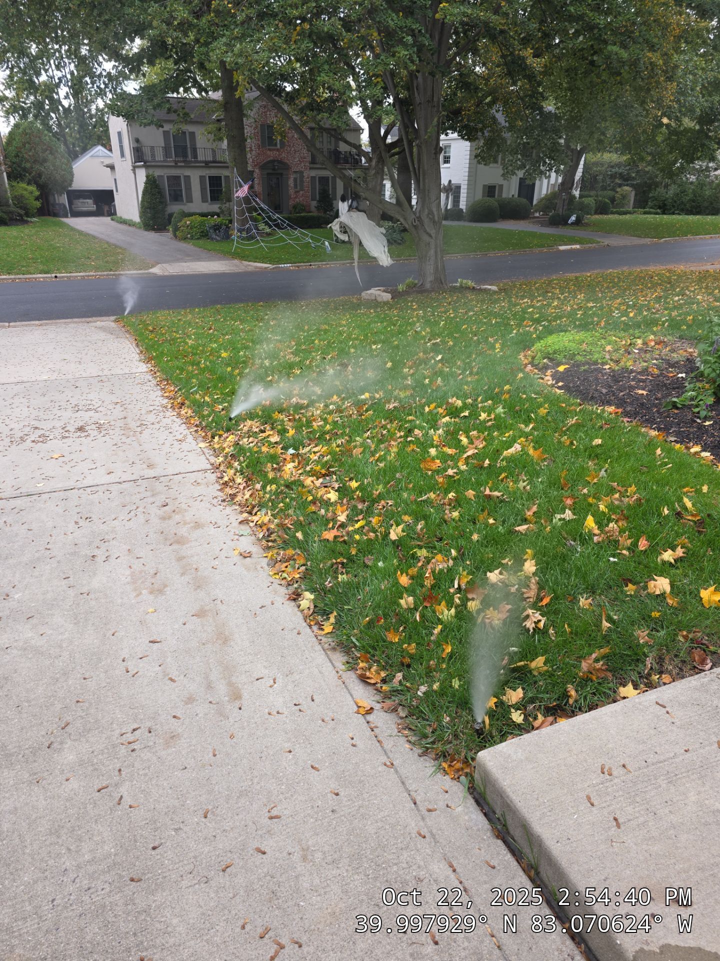 Murreyscott Res by Total Quality Horticultural Solutions 