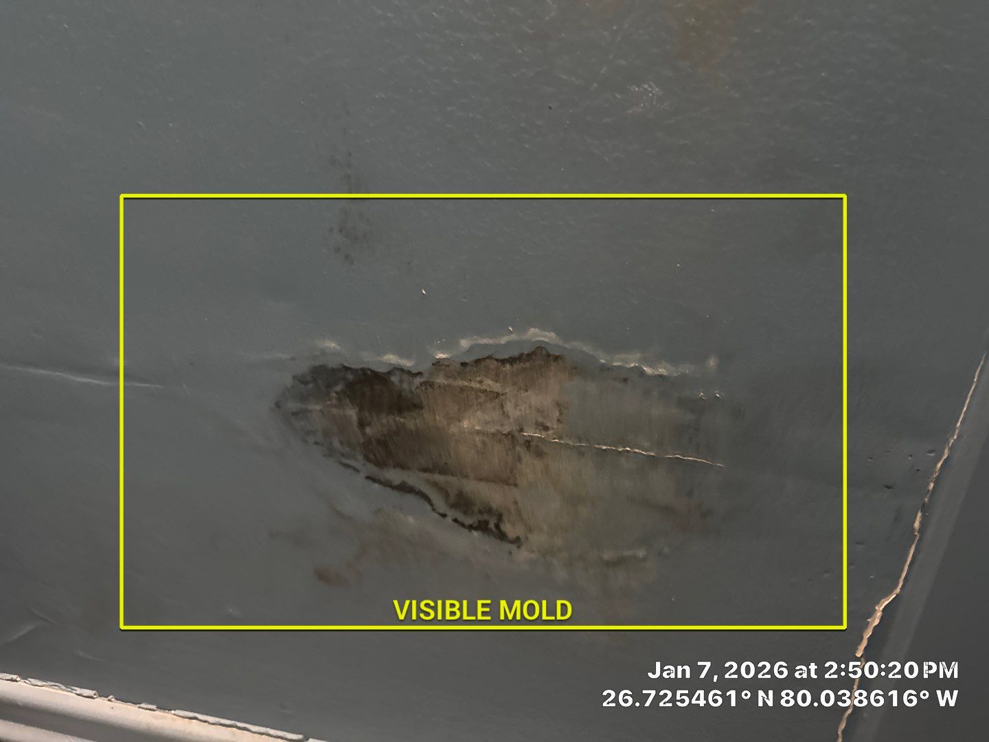 mold test by SuperClean 