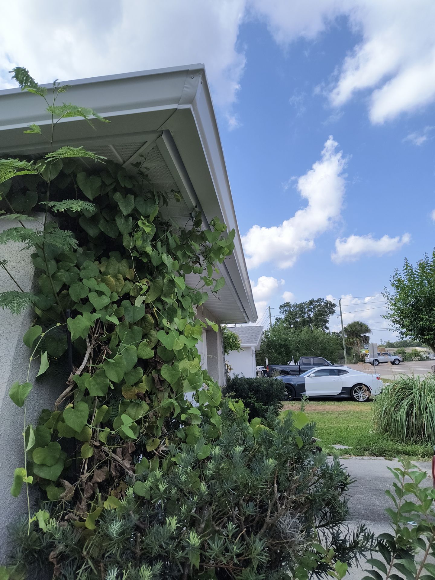 White 6-Inch Seamless Gutters in Sarasota FL by Gutter Professors