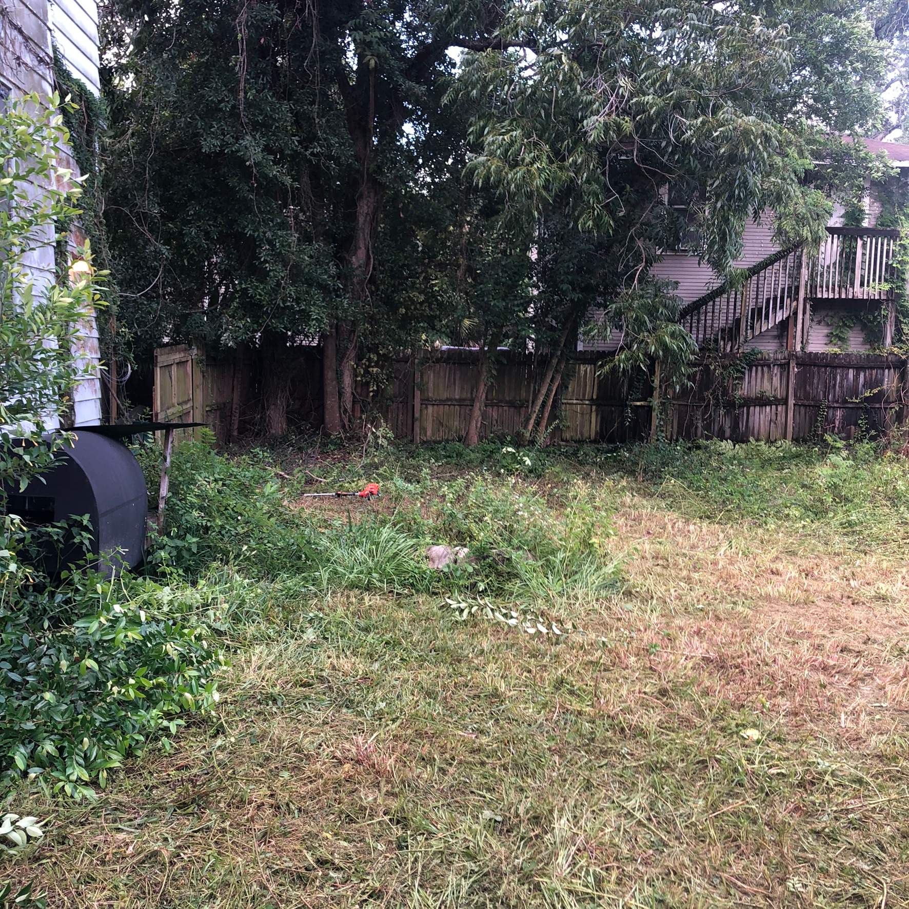 Extreme Clean Up | Riverside Area by ProGreen Services