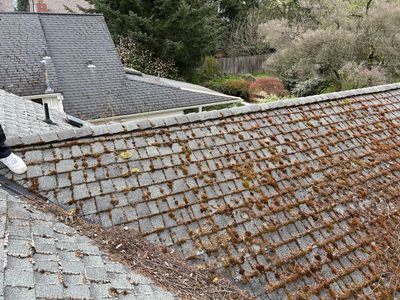 Project in Seattle