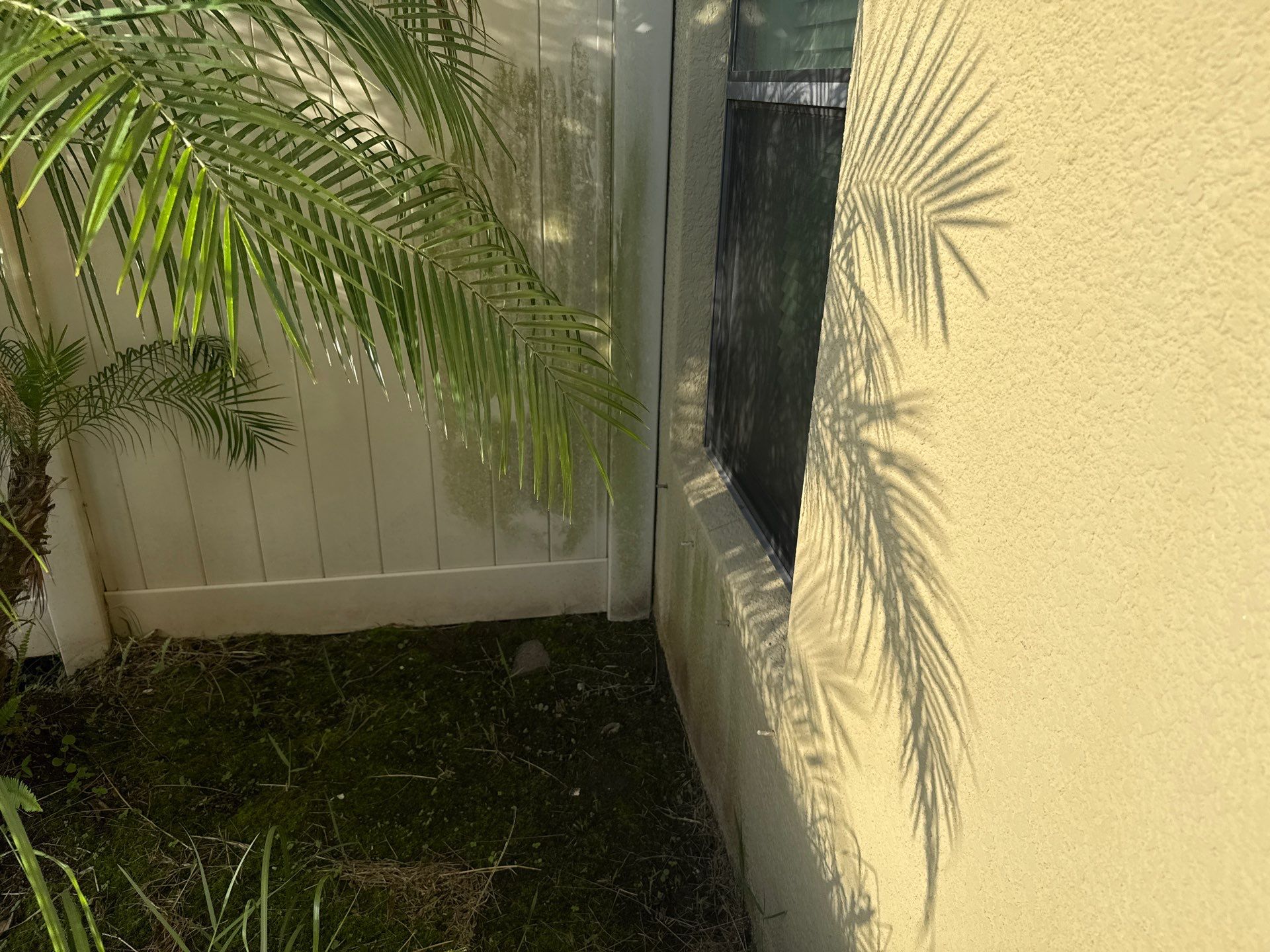 2-Story Stucco House Wash & Tan Vinyl Fence Cleaning | Sheffield Glen Palmetto, FL by Sunshine AquaWash