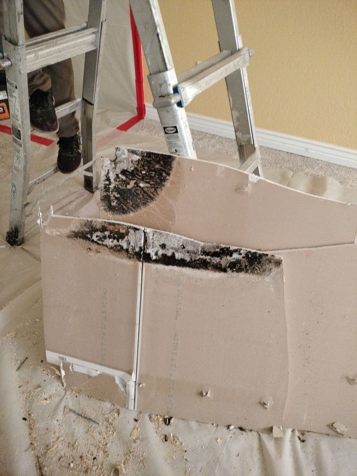 Mold Remediation by Accountable Home Services