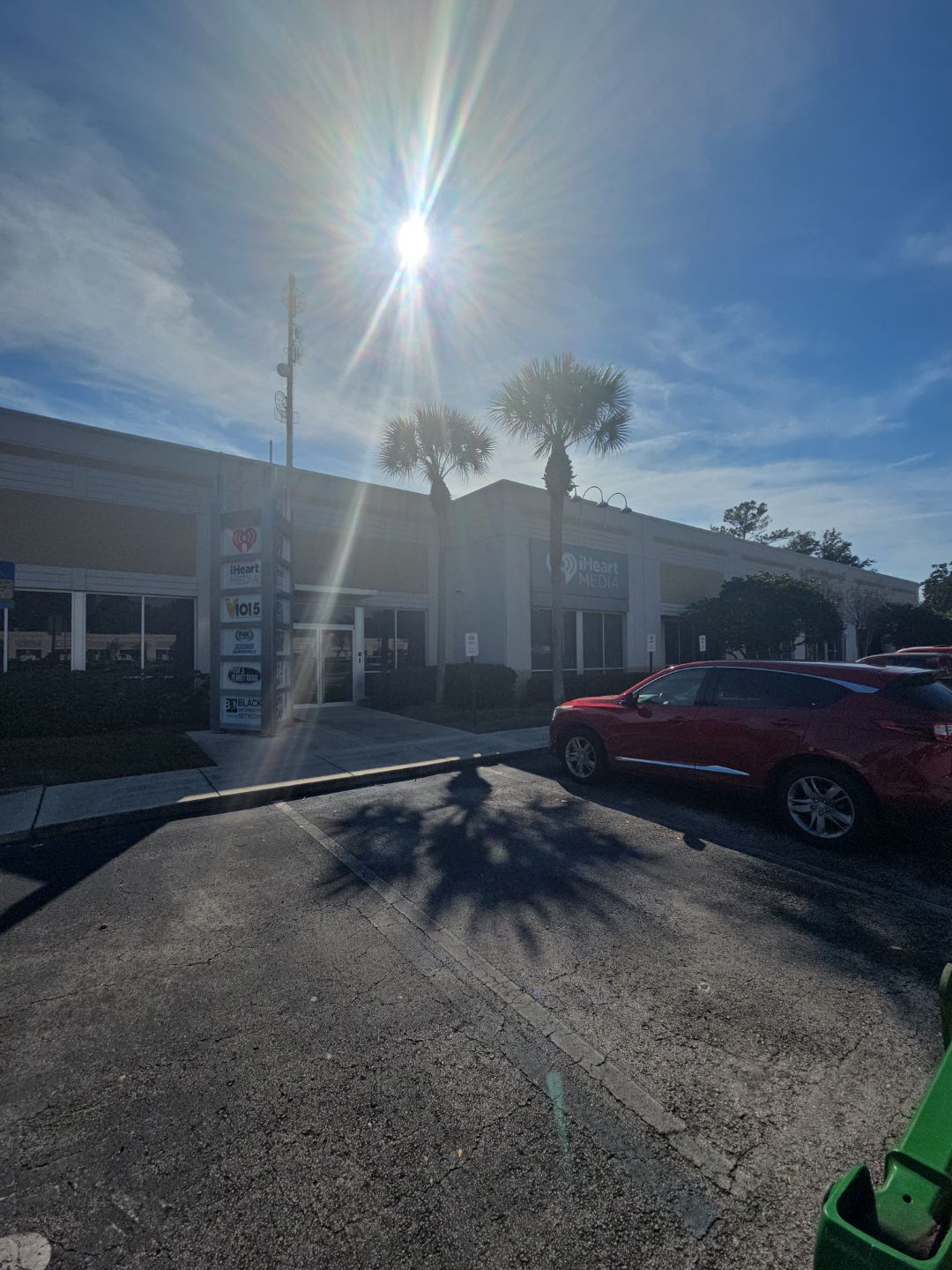 Tree & Palm Trimming | Commercial Property by ProGreen Services