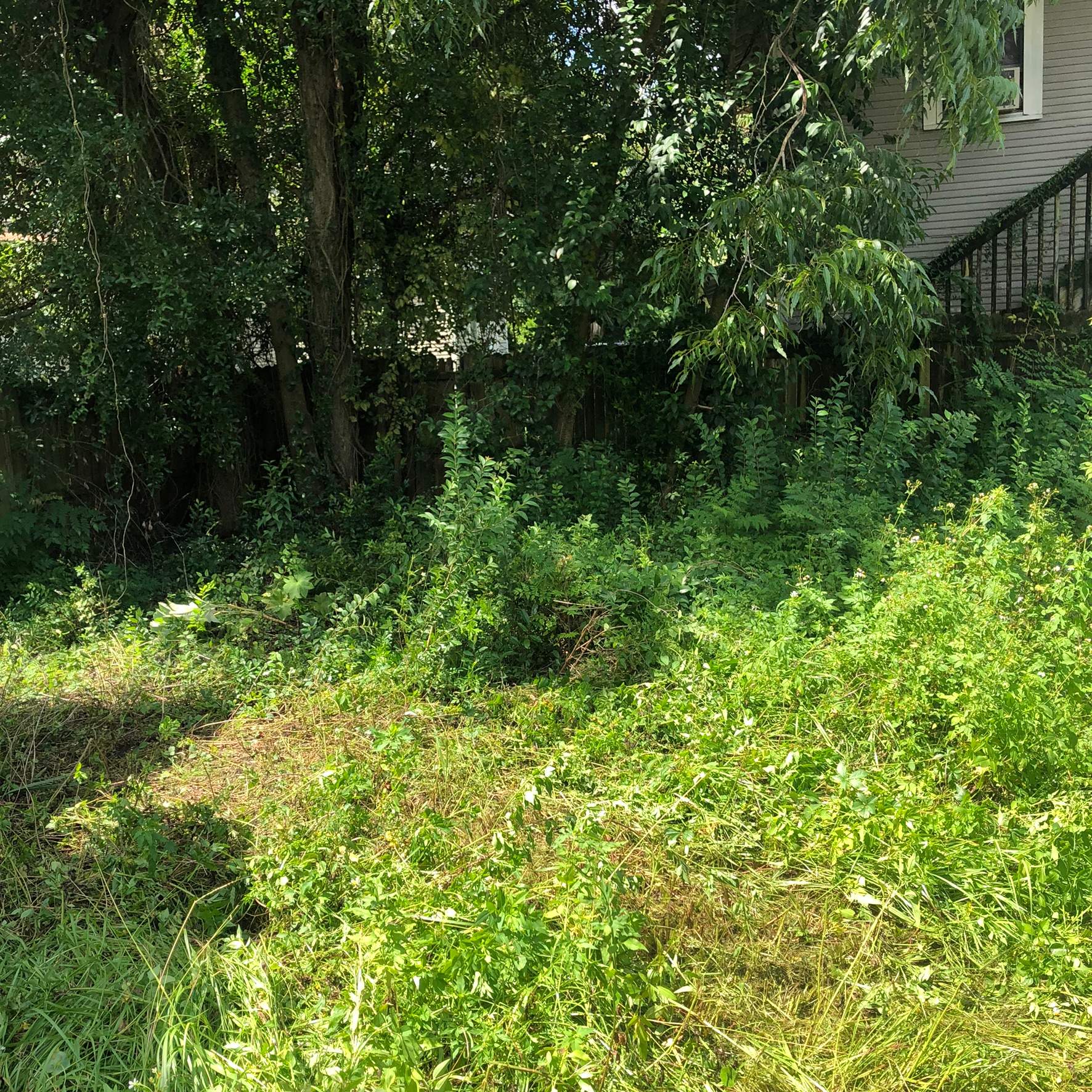 Extreme Clean Up | Riverside Area by ProGreen Services