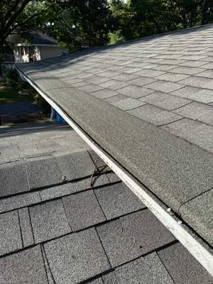 Turtle Shell gutter protection installation in Naperville, IL 60565, photograph 17