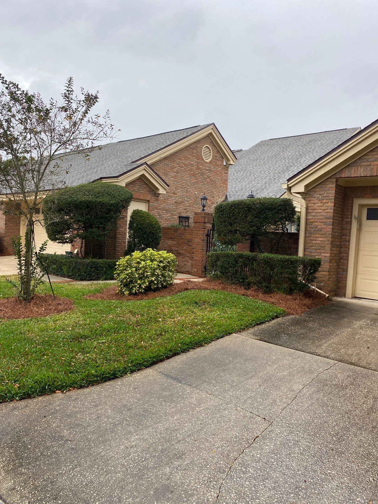 Deerwood Pointe | Tree Removal & Pine Straw Installation by ProGreen Services