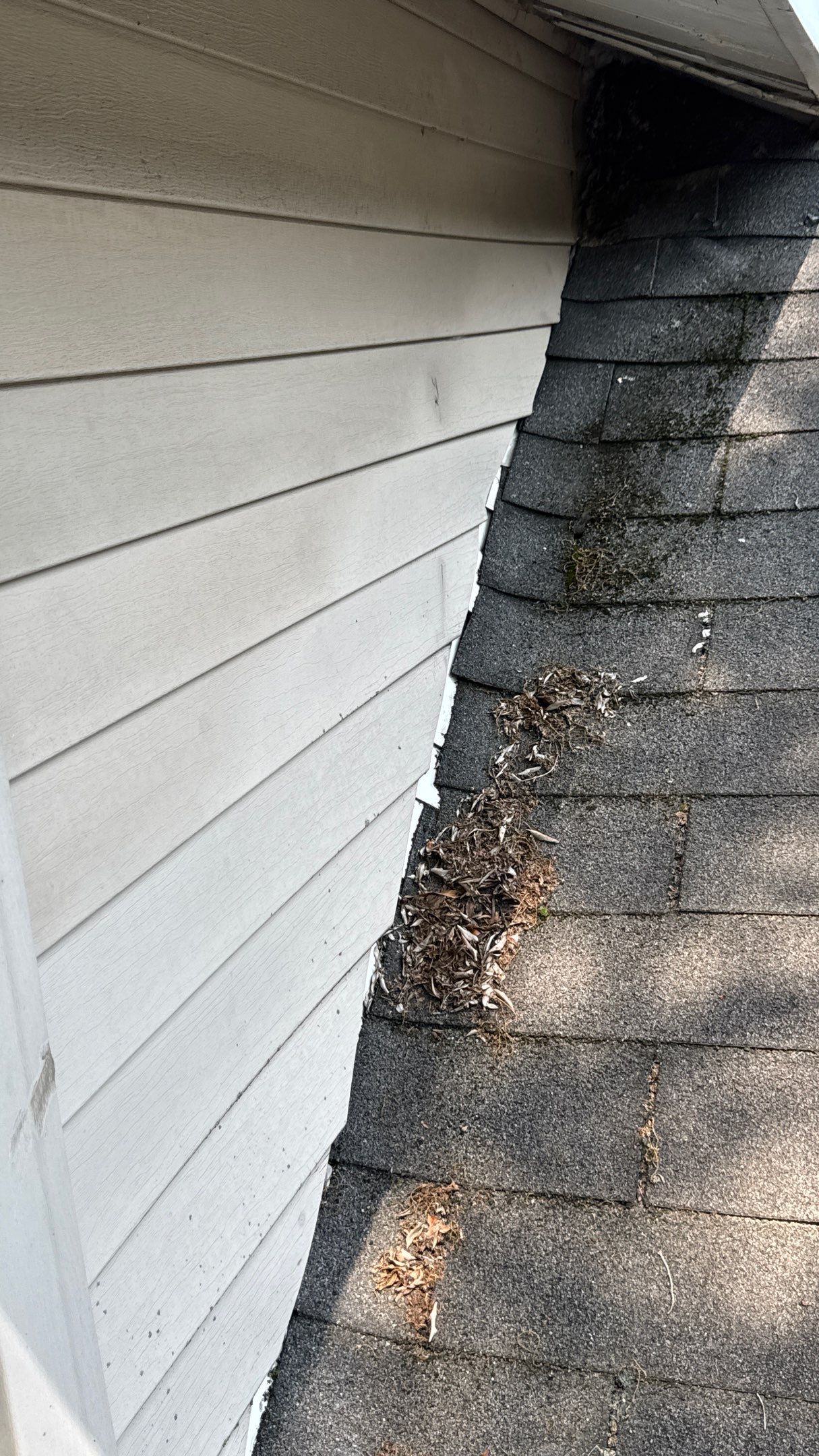 Roof Replacement using Owens Corning Driftwood by 180 Contractors