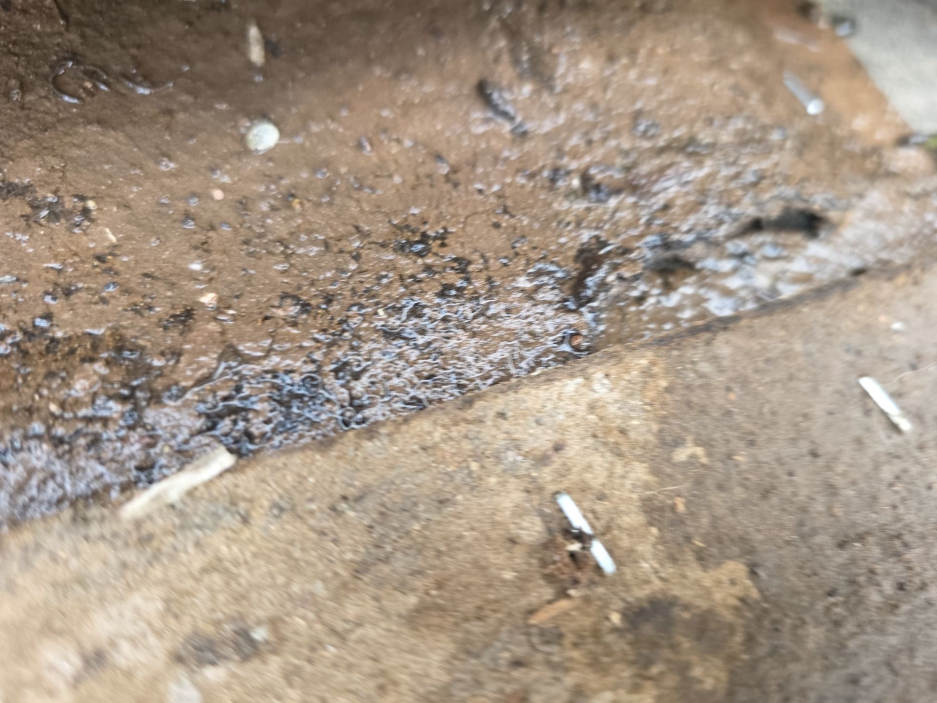 Protect Your Investment: Arizona Roofing Company's Expertise at Work! by Weather-Tite Roofing